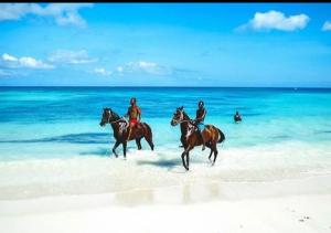 three people are riding horses on the beach at Mary & Matt lodge in Providencia