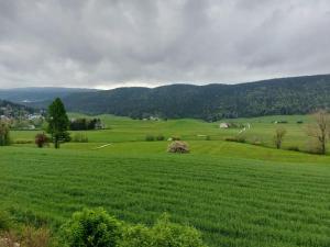 un prato verde con montagne sullo sfondo di Appartement Méaudre, 2 pièces, 5 personnes - FR-1-737-26 a Méaudre