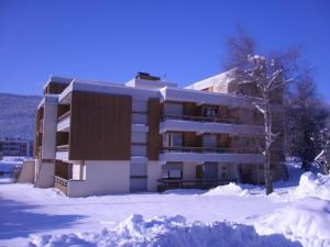 奧特朗的住宿－Appartement Autrans, 2 pièces, 4 personnes - FR-1-737-54，前面有雪的建筑