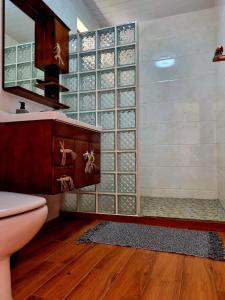 a bathroom with a shower with a glass block wall at Tahiti Hills Lodge in Punaauia