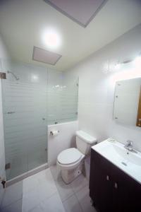 een badkamer met een toilet, een douche en een wastafel bij DEPA REMODELADO CENTRO HISTÓRICO ROOF GARDEN CON ESTACIONAMIENTO in Zacatecas