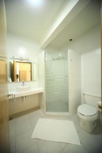 a bathroom with a toilet and a sink and a mirror at DEPA REMODELADO CENTRO HISTÓRICO ROOF GARDEN CON ESTACIONAMIENTO in Zacatecas