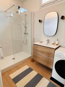 La salle de bains est pourvue d'une douche, d'un lavabo et d'un miroir. dans l'établissement Appartement cosy, Duck, Secteur Boinot - wifi, netflix, prime vidéo, à Niort