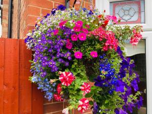 um cesto de flores pendurado numa parede de tijolos em Fairfax em Skegness