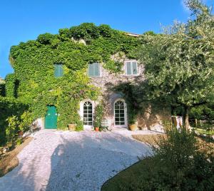 una casa cubierta de hiedra con una puerta verde en Giardini Penelope en Ciampino