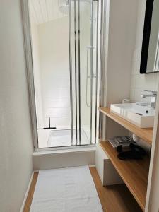 uma casa de banho com um chuveiro e um lavatório. em Bel appartement, Birds, Secteur Boinot - wifi, netflix em Niort