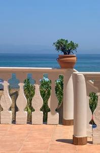a row of vases with a potted plant on a balcony at Nisaki Mathraki B&B in Corfu