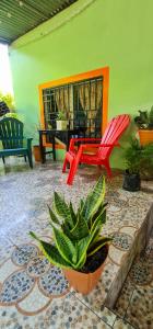 a patio with chairs and a table and a potted plant at Hostal tortuga viajera in Moyogalpa