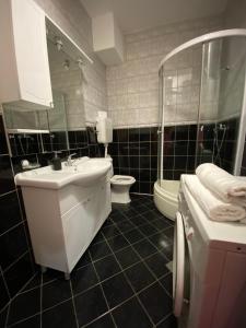 een badkamer met een wastafel, een toilet en een spiegel bij Apartman Nika in Mostar