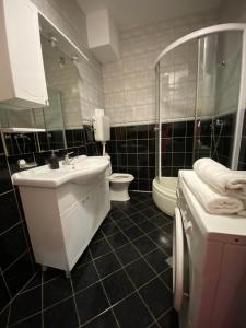 een badkamer met een wastafel, een toilet en een spiegel bij Apartman Nika in Mostar