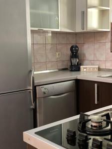 Kuchyň nebo kuchyňský kout v ubytování Apartman Nika
