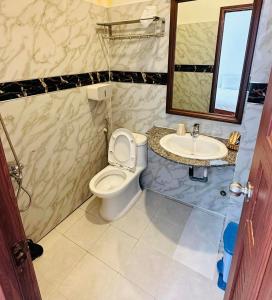 a bathroom with a toilet and a sink and a mirror at Con Son Island Hotel in Con Dao