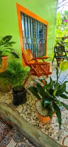 a room with plants and a chair and a book shelf at Hostal tortuga viajera in Moyogalpa