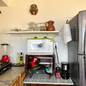 eine Küche mit einer Mikrowelle auf der Arbeitsplatte in der Unterkunft Casa del Sol in San Pedro Pochutla