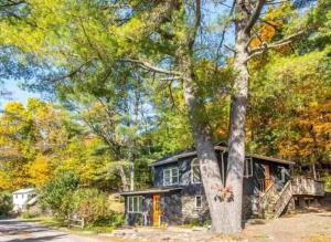 a house with a tree in front of it at Breezy Hill 3BR Modern & Quiet Home in Catskills in Accord