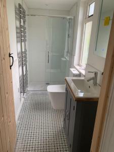 a bathroom with a shower and a toilet and a sink at Cottage with outstanding views in Velindre