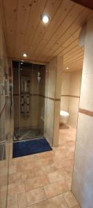 a large bathroom with a shower and a toilet at Apartment am Rennsteig, 2 Schlafzimmer in Lauscha - Ernsthal am Rennsteig