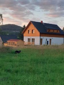 Ein schwarzer Hund auf einem Feld vor einem Haus. in der Unterkunft Apartmány Pod Vrchem Kytlice 71 in Kytlice