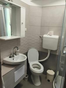 ソバタにあるCasa Kelemenのバスルーム(トイレ、洗面台付)