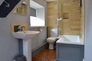 a bathroom with a sink and a toilet and a shower at No. 5 @ Ginhaus in Llandeilo