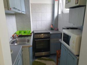 Il comprend une petite cuisine équipée d'un évier et d'une cuisinière. dans l'établissement Apartament Codruta, à Turda