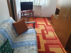 - un salon avec un canapé et une table dans l'établissement Apartament Codruta, à Turda