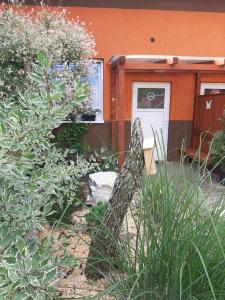Zahrada ubytování Apartmany Kras