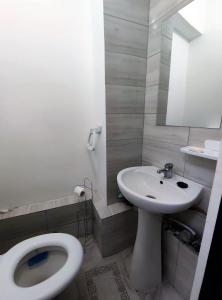 uma casa de banho com um WC e um lavatório em Lake and park view residence em Bucareste