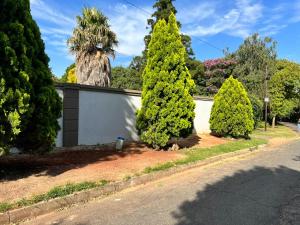 a group of trees in front of a house at Nomacurvy guest house in Roodepoort