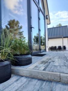 Zahrada ubytování Morska Szyszka & Leśne SPA