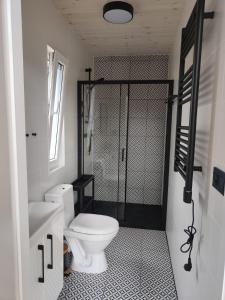 a bathroom with a white toilet and a shower at Morska Szyszka & Leśne SPA in Odargowo