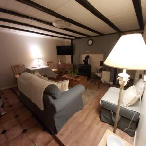 a living room with a bed and a couch and a lamp at Clover Cottage in Sligo