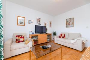 TV a/nebo společenská místnost v ubytování Apartments Martic