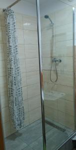 a shower with a glass door with a shower curtain at Suwałki Centrum Studio in Suwałki