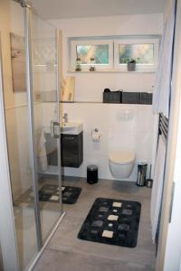 a bathroom with a shower and a toilet and a sink at Auf dem Kleeberg in Niederzissen