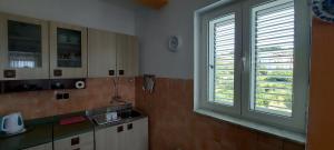 Kuchyňa alebo kuchynka v ubytovaní Apartman Franelić Banjol