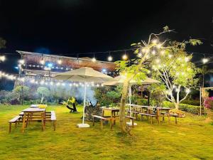 a group of tables and umbrellas in a field at night at Homestay Mai Anh Đào in Da Thien