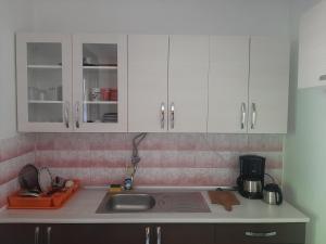 Kitchen o kitchenette sa Privatni smještaj Radić