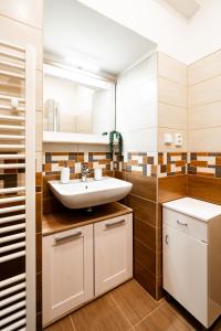 a bathroom with a sink and a mirror at Internesto Brno Luzanky in Brno