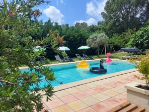 a pool with a rubber duck in a backyard at Mas Campagne Etoilée in Caderousse