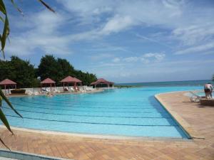 Swimmingpoolen hos eller tæt på Appartement BlueLAGON