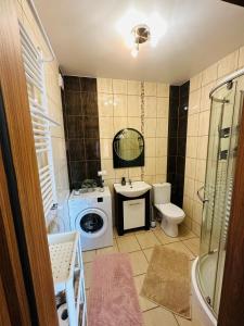 a bathroom with a toilet sink and a washing machine at Niebieska Chmurka in Miłomłyn