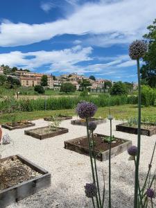 un giardino con alcuni fiori viola e edifici sullo sfondo di Gîte "Stella" du Moulin de la Batteuse a Valensole