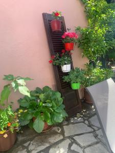 Zahrada ubytování Guest house Sonia’s