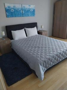 a large bed in a bedroom with two night stands at Apartments Tatjana in Jagodina