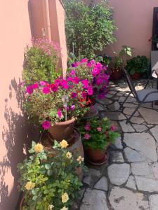 Zahrada ubytování Guest house Sonia’s
