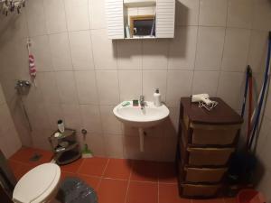 Baño pequeño con lavabo y aseo en Lenka, en Višegrad
