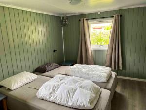 2 camas en una habitación con paredes verdes y ventana en Dalsøren Camping og hytter, en Luster