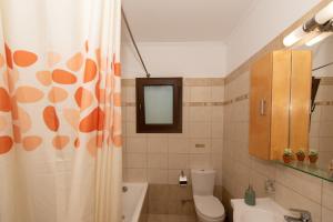 y baño con cortina de ducha, aseo y lavamanos. en Melissa Luxury Apartments, en Agios Leon