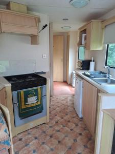 Una pequeña cocina con estufa y fregadero. en Cosy Caravan at Blackmoor Farm, en Ludchurch 13 fotos más
